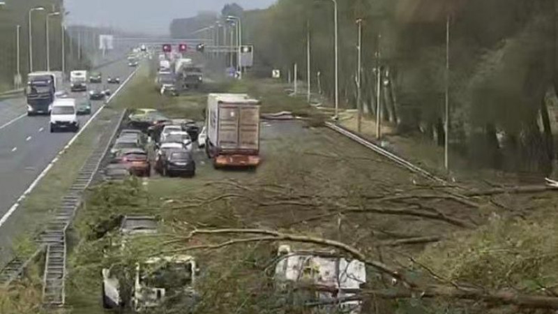 A9 bezaaid met bomen