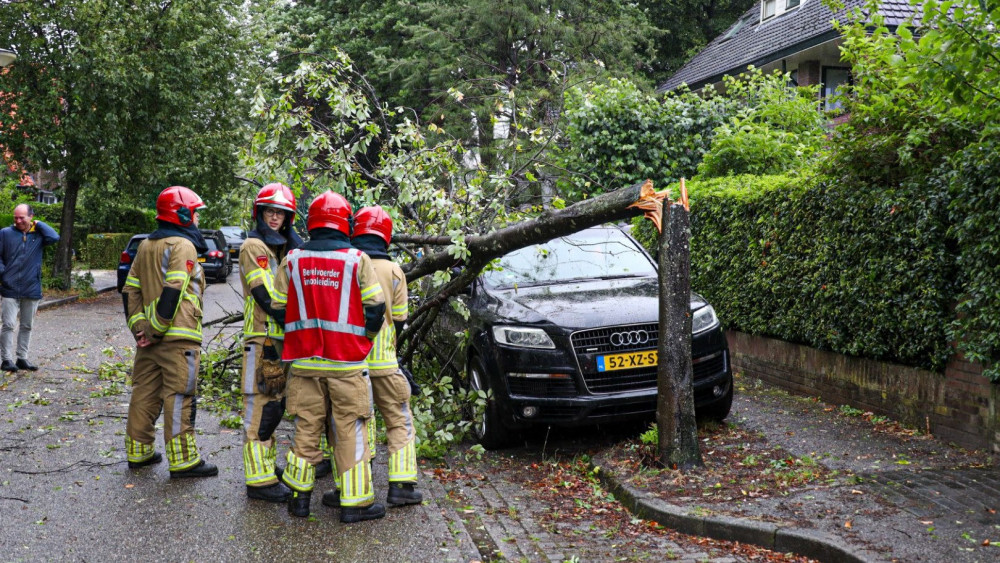 Geknakte boom