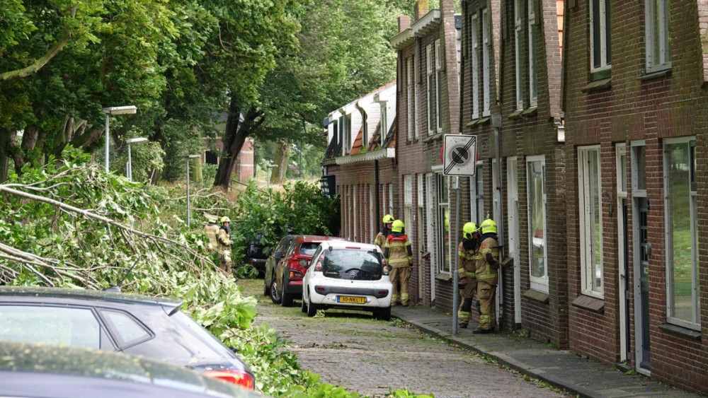 Woningen In Enkhuizen Ontruimd Door Vallende Takken: "Ze Vlogen In Het ...