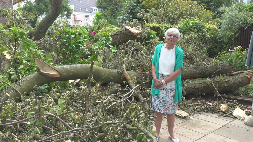 Vera’s garden was completely destroyed by Storm Polly: ‘Like an earthquake’