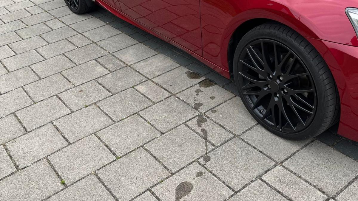 Damian treft gloednieuwe auto aan onder het frituurvet: 