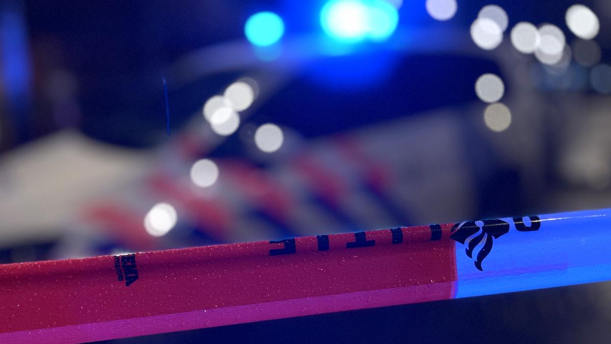 Aanhouding na ontdekken hennepkwekerij in bedrijfspand • Politie toont nieuwe foto vermiste Trudy (7