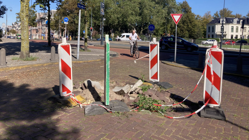 Stormschade twee maanden later, Koninginneweg