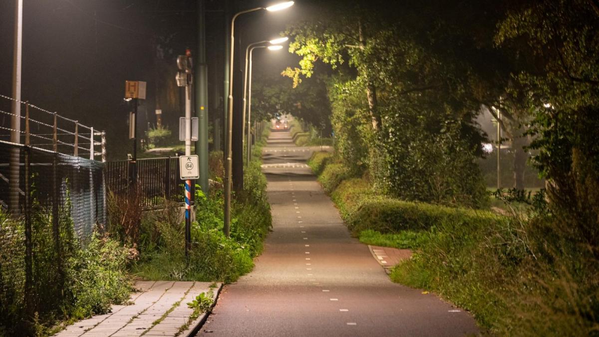 Man mishandeld en beroofd door groep minderjarigen in Amstelveen, twee aanhoudingen