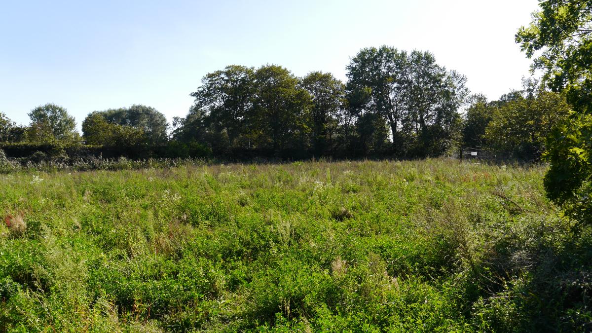 Tekort aan sociale woningen in Bloemendaal opgelost: hoge woontoren op Blekersveld