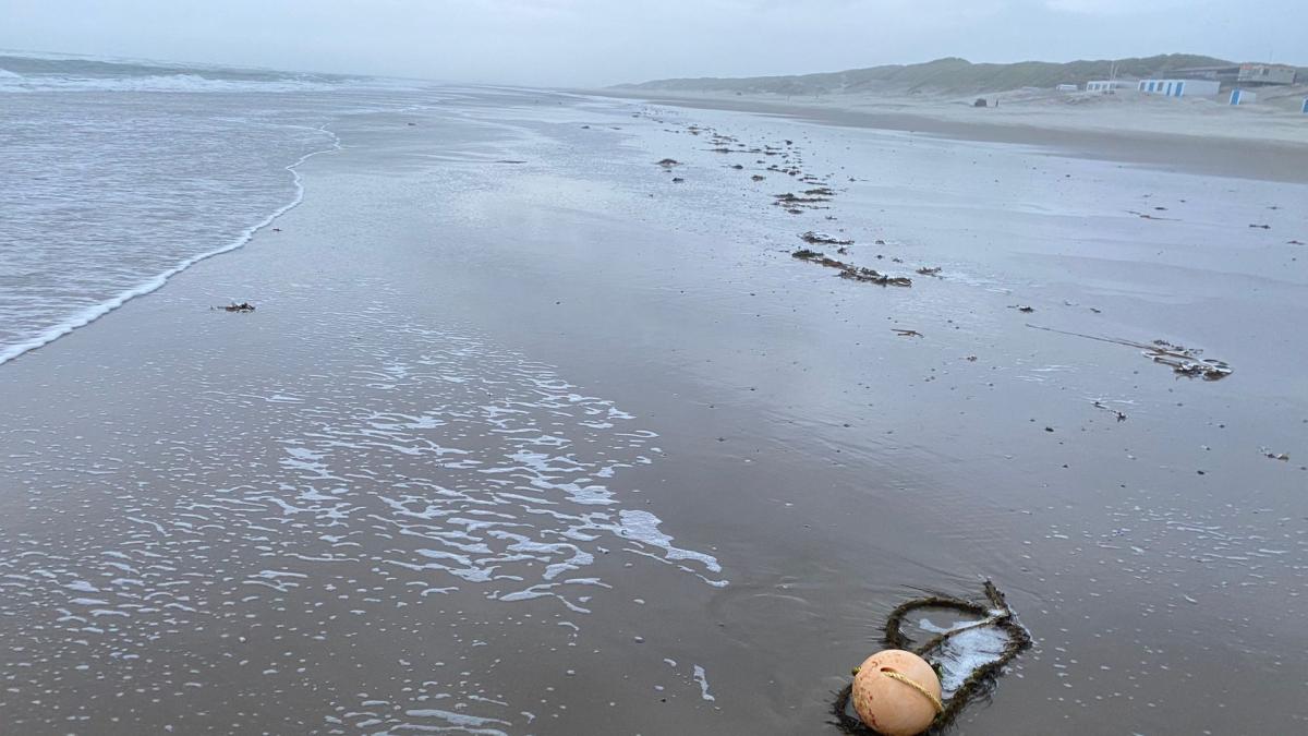 Brandweer bevrijdt vrouw uit drijfzand op Texel