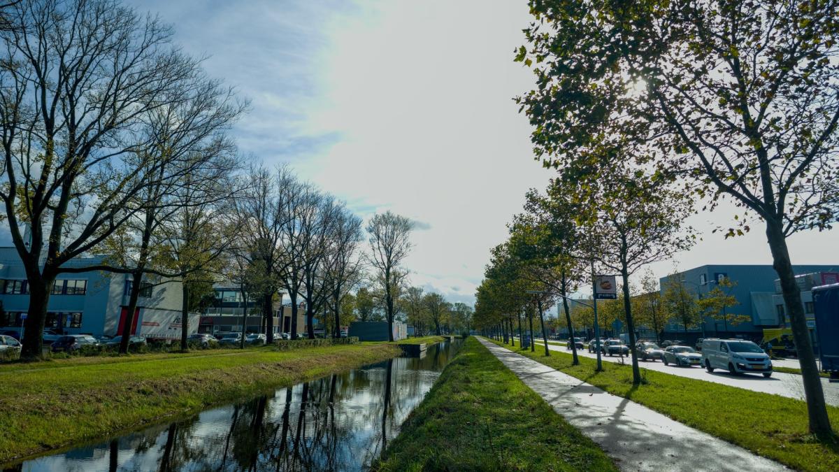 Waarom worden Haarlemse Waarderpolder en Reinaldapark wéér aangewezen als woonlocaties?
