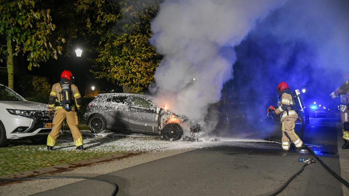 Verdachte autobranden in 's-Graveland en Hilversumse Meent