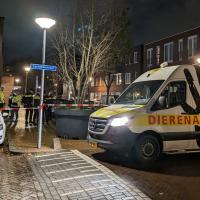 Moordenaar Freek (18) blijkt nog voortvluchtig, opgepakte Alkmaarder vrijgelaten