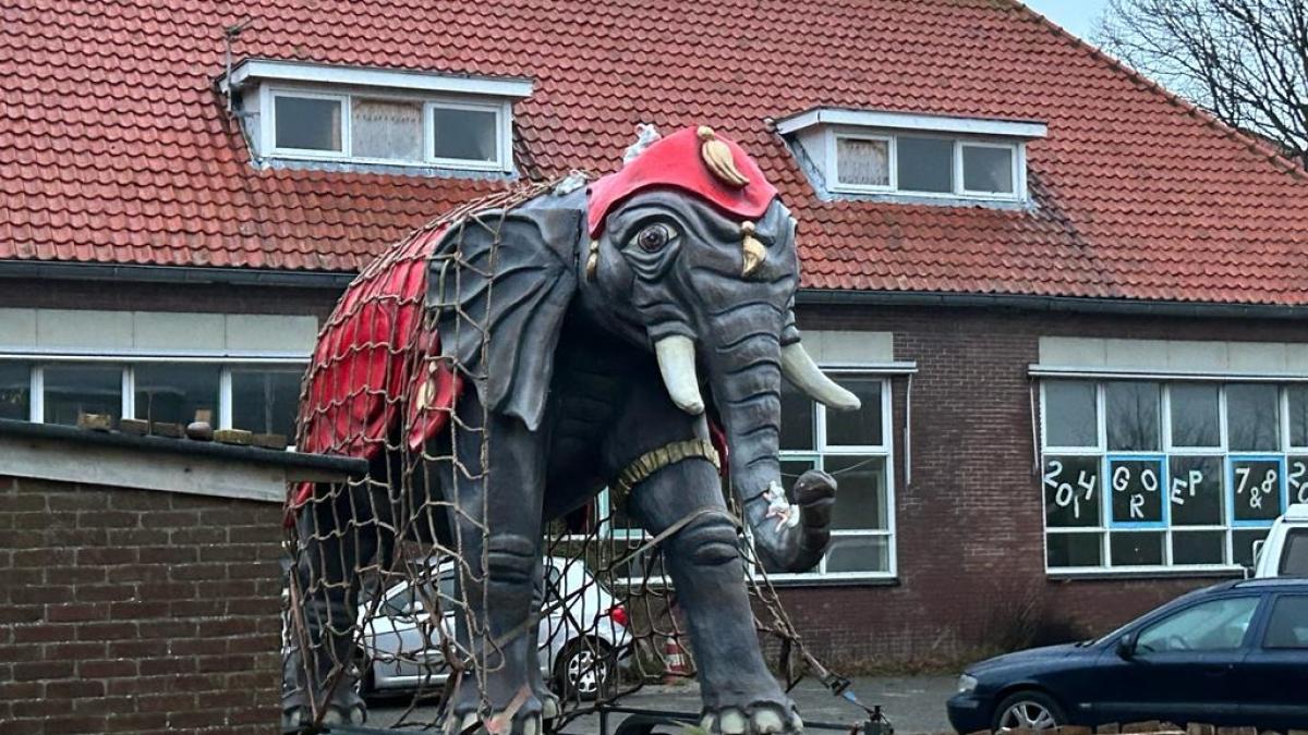 Mysterie rond Texelse olifant wordt alleen maar groter: 