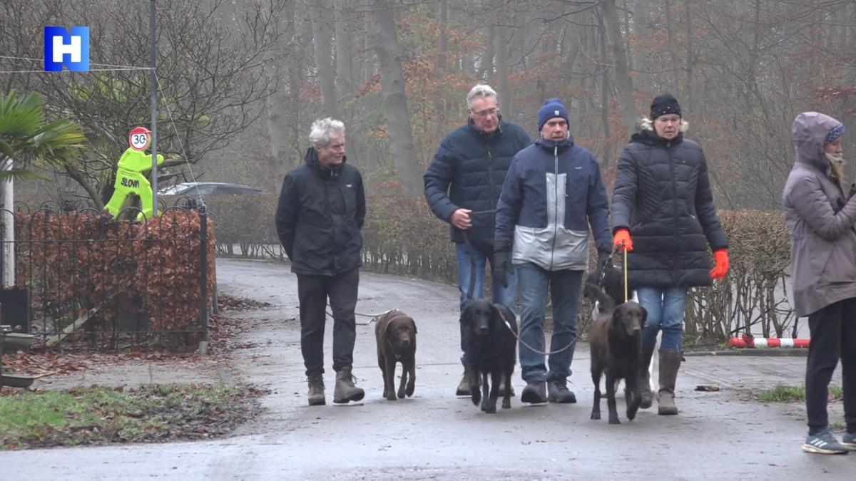 Boswachters Amsterdamse Bos zijn loslopende probleemhonden zat: 