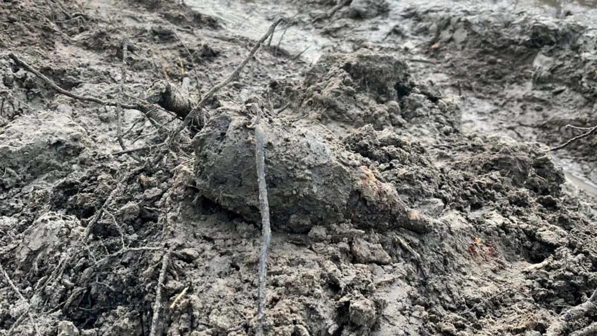 Vreemde vondst tussen kippen en geiten, bom opgegraven bij Texelse dierenopvang