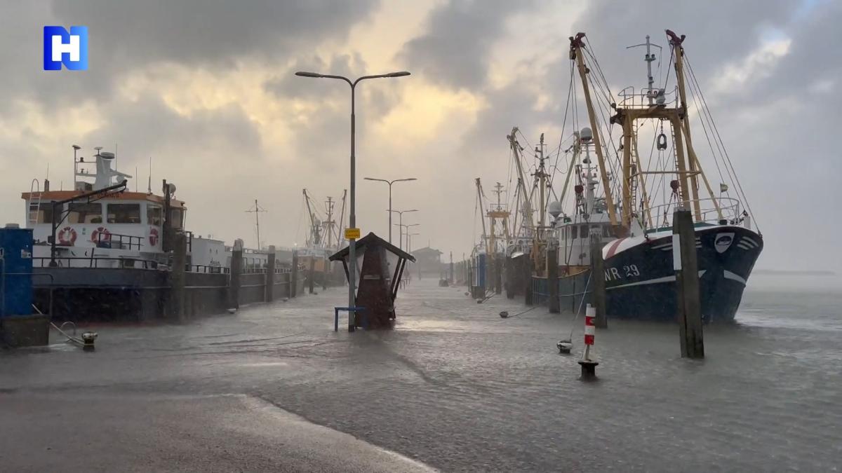 In beeld: zo hoog staat het water in Den Oever nu