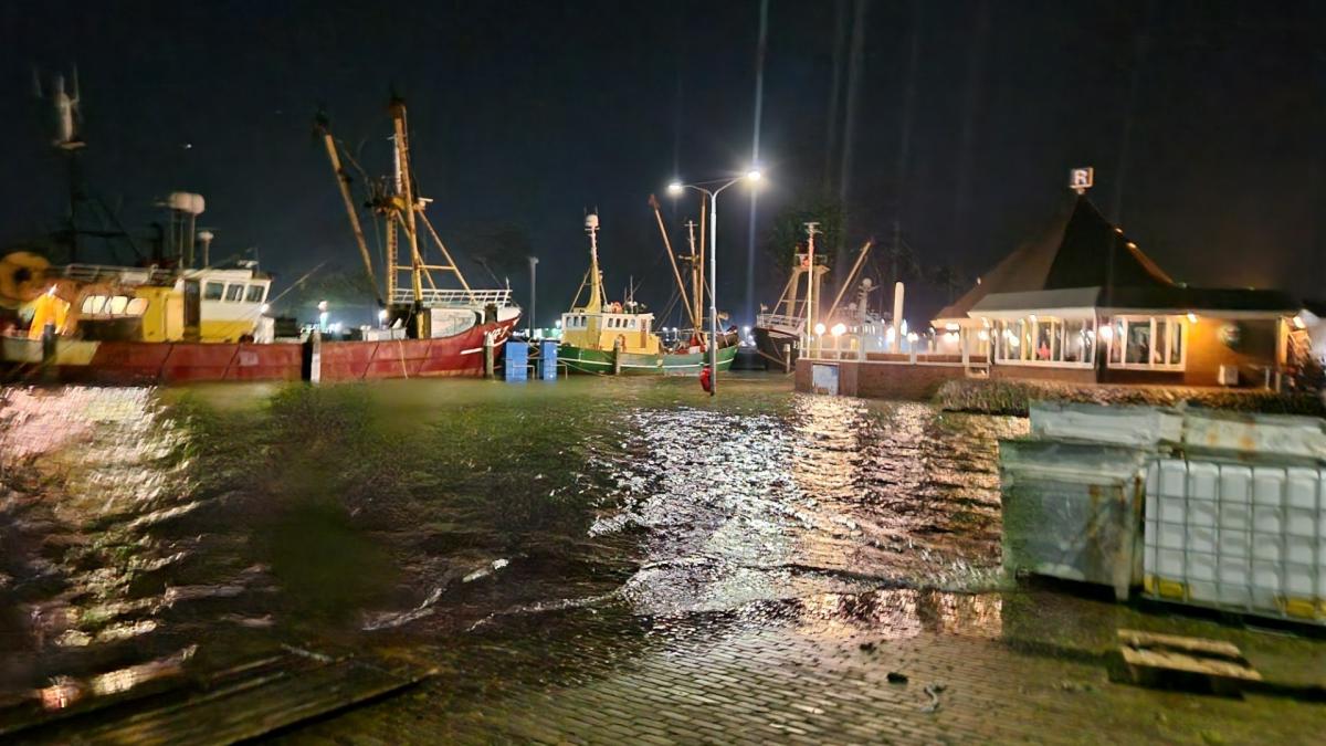 ZIEN: spannende momenten door storm Pia in Den Oever, kades onder water
