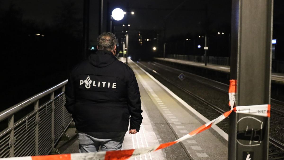 Mogelijk wapen gezien op station Weidevenne, politie arresteert drie mannen
