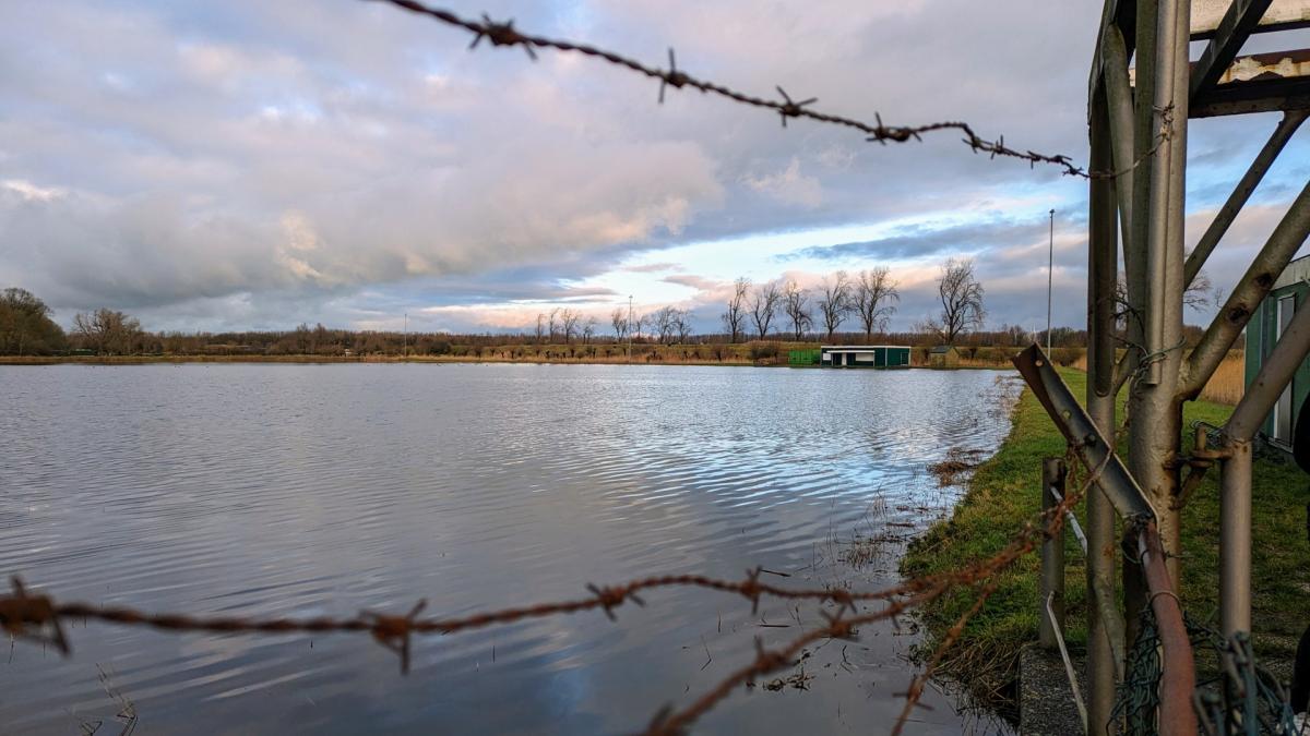 Woensdag schaatsen? Natuurijsbaan in Spaarndam is klaar voor het echte werk