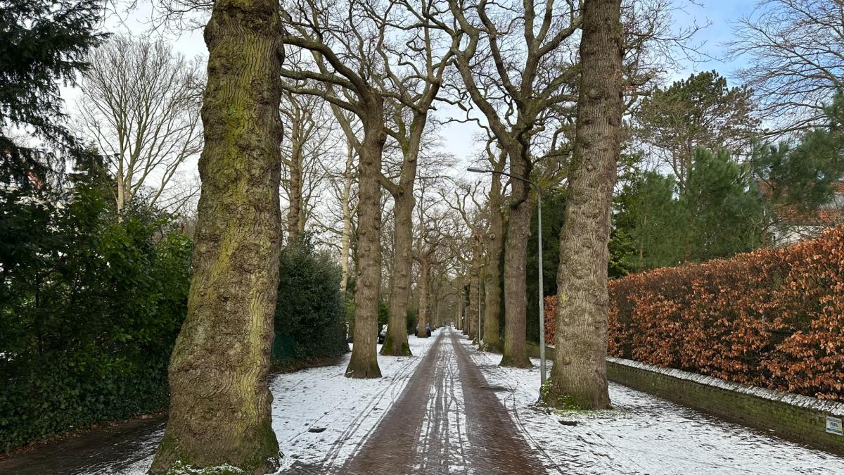 Marlies uit Aerdenhout verwelkomt jonge asielzoekers: 