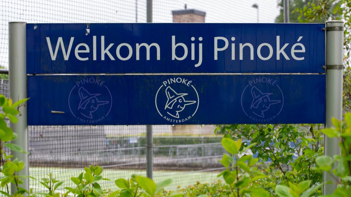 Pinoke School 14-jarige jongen meldt zich bij politie na overvalpogingen bij ...