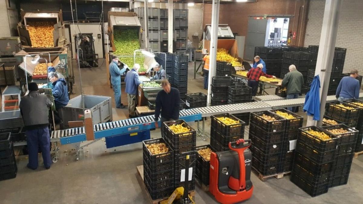 Stichting Manna redt al tien jaar 'waardeloze' groenten en groeit uit haar jasje