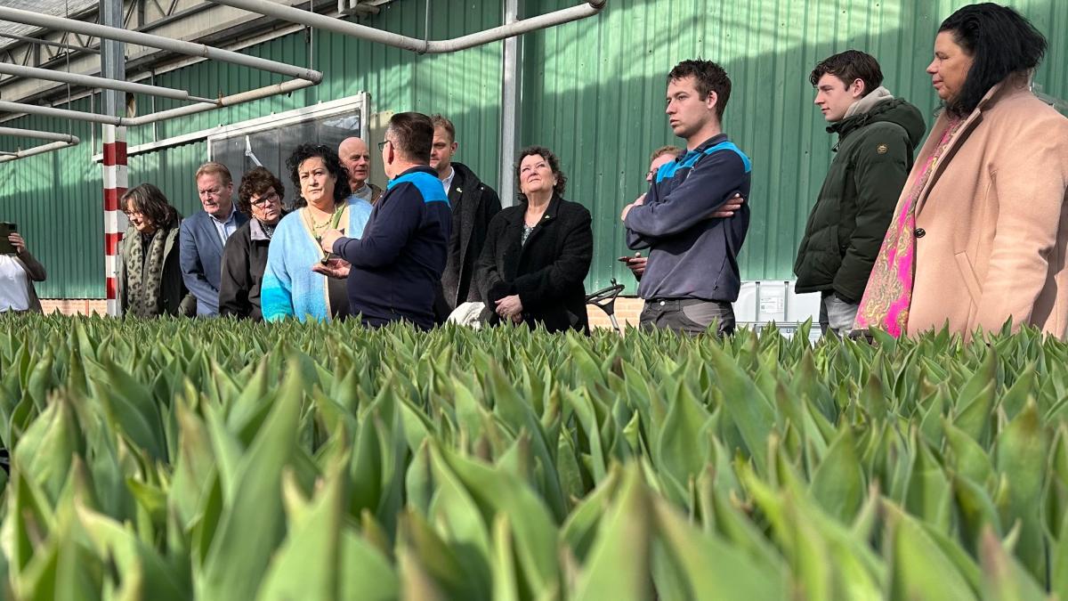 BBB-leider verdedigt bloementeeltsector tegen beschuldigingen gebruik dinoterb