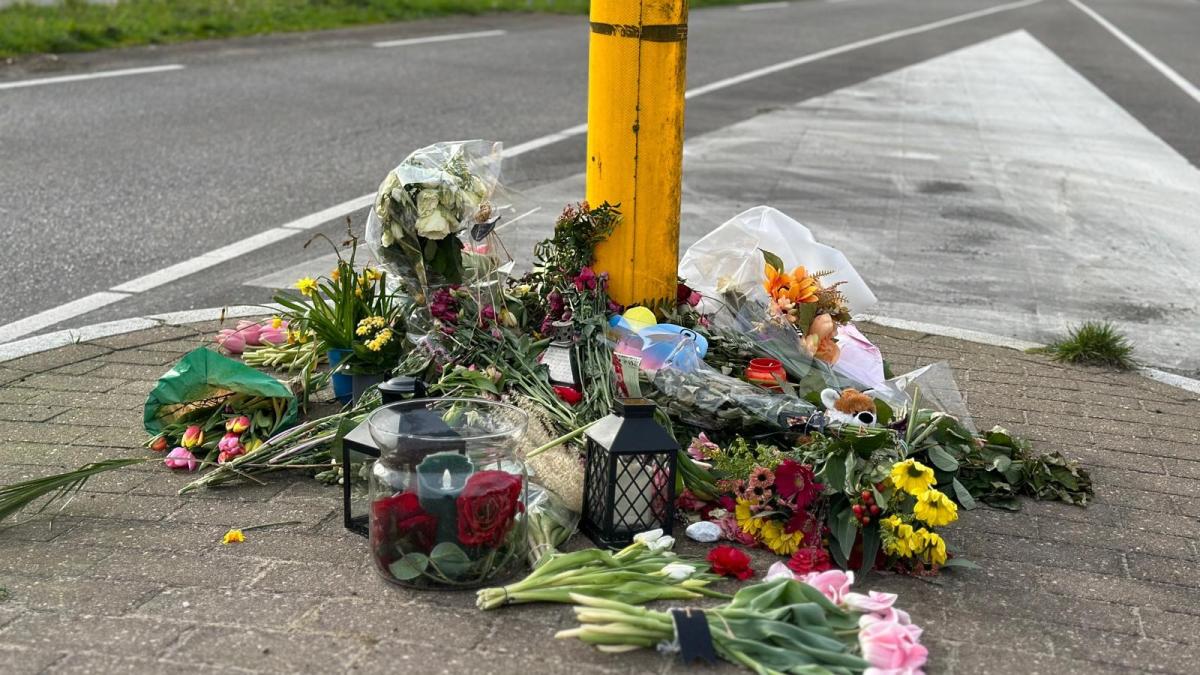 OM eist half jaar cel voor dodelijke aanrijding Sien (14) uit Wijk aan Zee