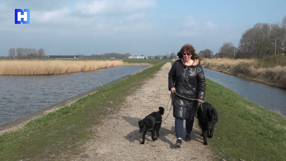 Als Nora geen hondenoppas vindt, laat ze zich niet opereren