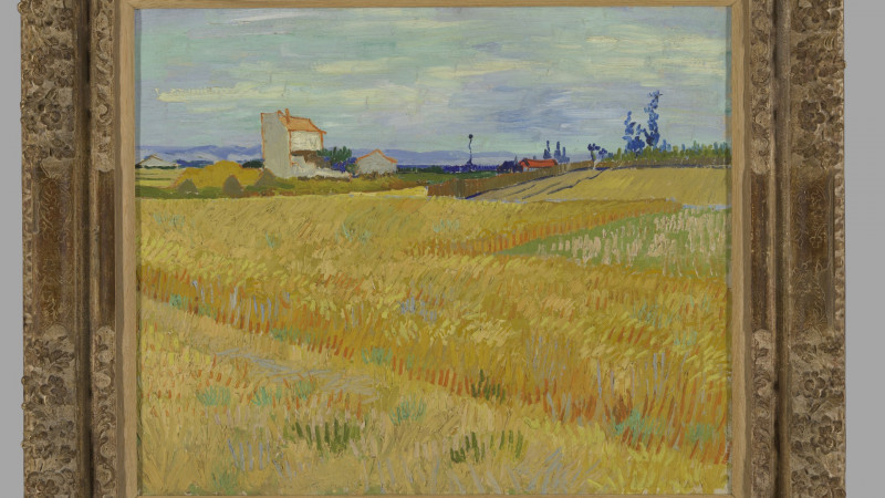 'Korenveld' (1888) van Vincent van Gogh