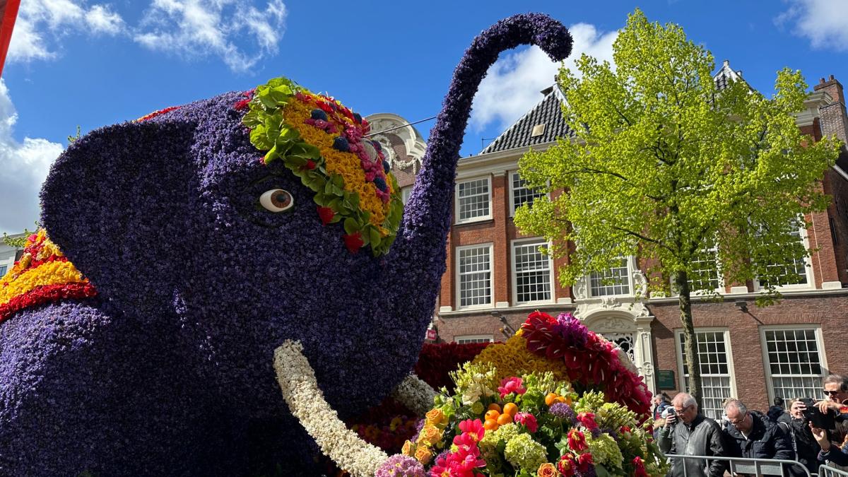 Innovatieve praalwagen maakt debuut op 79e Bloemencorso Bollenstreek