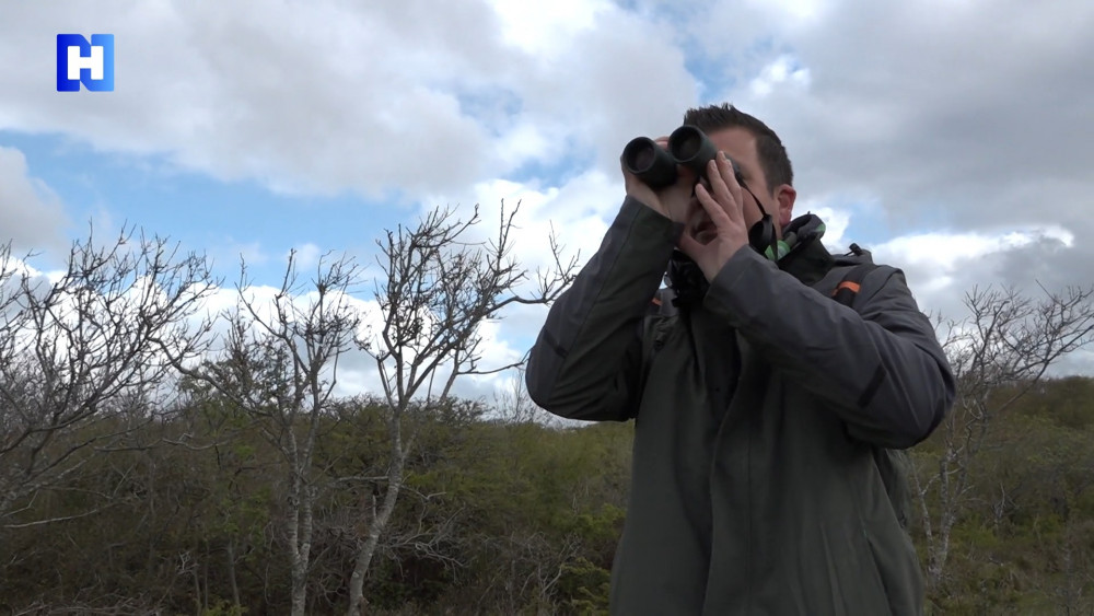 Zangvogels opmerkelijk vroeg teruggekeerd uit Afrika: 'Harde wind speelt rol'