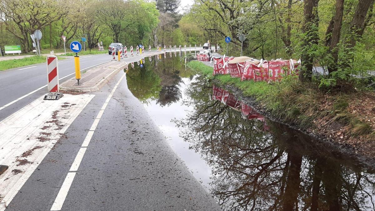 Speciaal bassin moet Bergense Zeeweg droog houden na extreme regenval