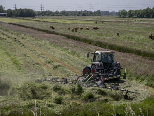 Toekomst van de boeren verdeelt Noord-Holland blijkt uit onderzoek