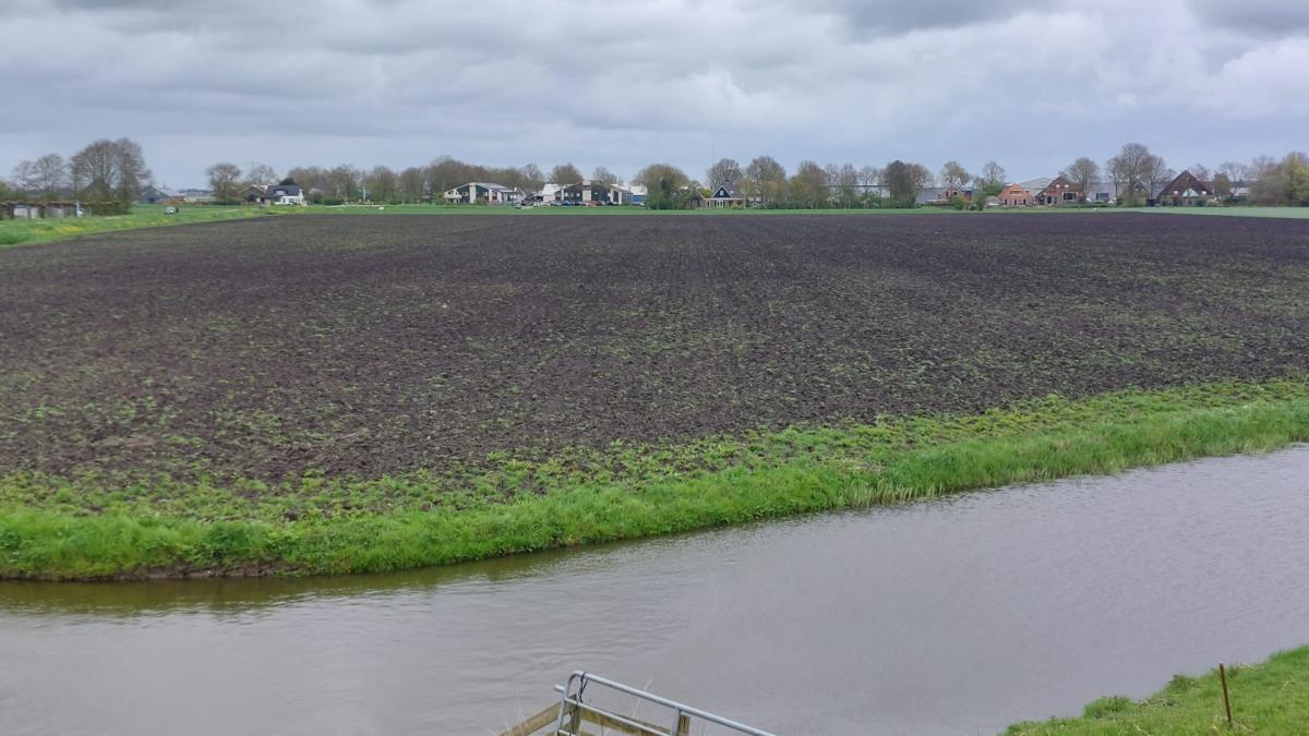 Omwonenden zien wens in vervulling gaan: Ursem krijgt een bos, midden in het dorp