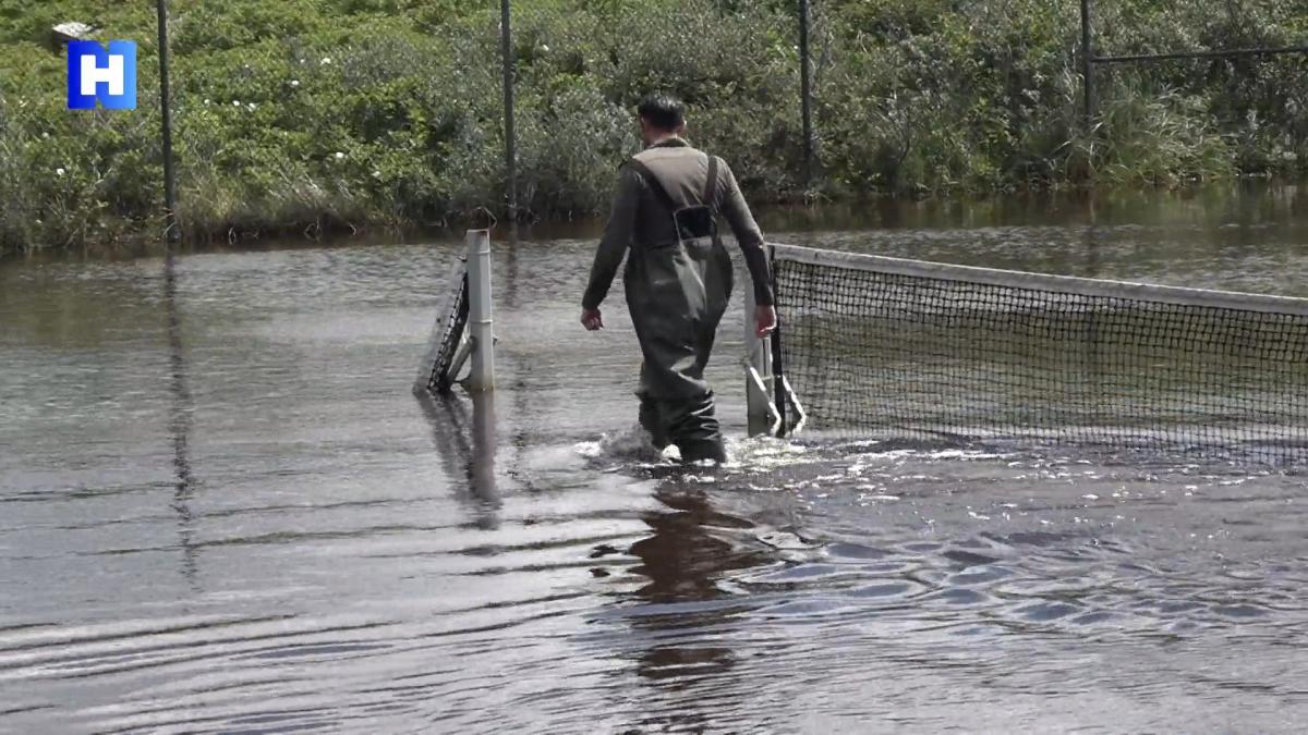 Water tot aan je knieën op tennisbanen Bergen aan Zee: 