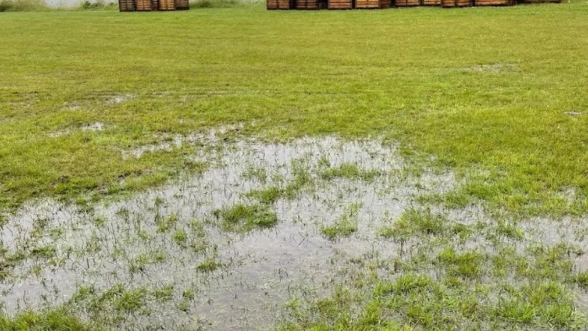 Festival Kippebillen in Wijdenes afgelast: 