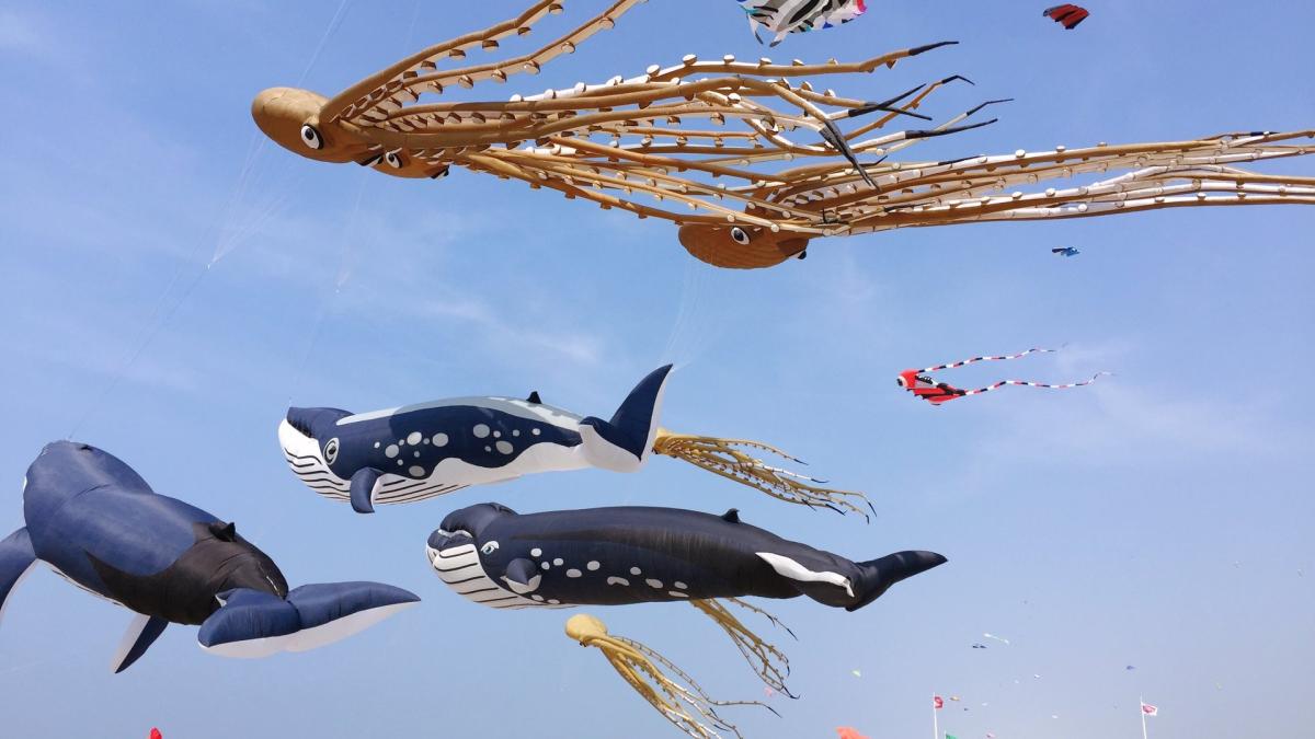 Strandgangers opgelet: dit weekend zijn er megavliegers te bewonderen bij Callantsoog