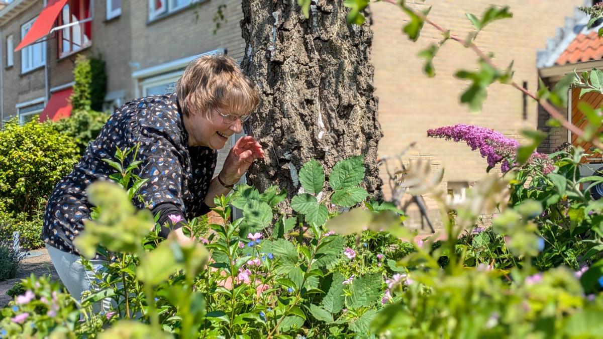 Vluchten naar De Krim: bewoners blij met afgezonderde status van hun Haarlemse wijk