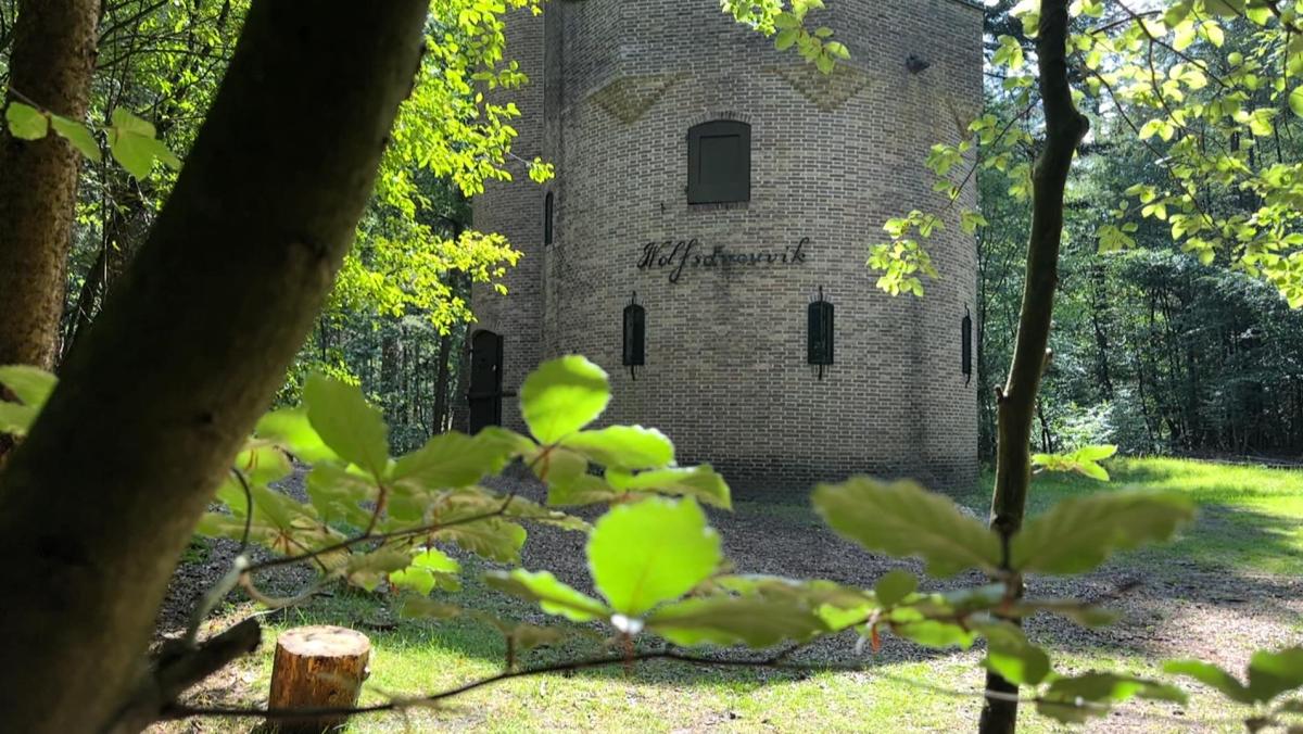 Een goed bewaard geheim ligt verscholen in het Smithuyserbos bij Hilversum