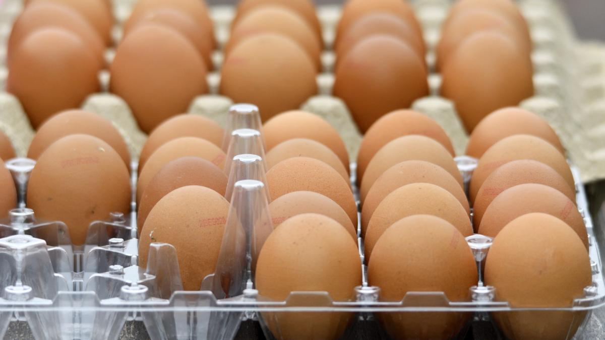 'Smurriegooier' maakt steeds meer slachtoffers: bekogelt ze met vet of eieren