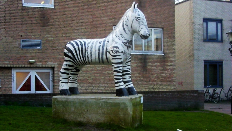 De 'zebra' op de Alkmaarse Paardenmarkt