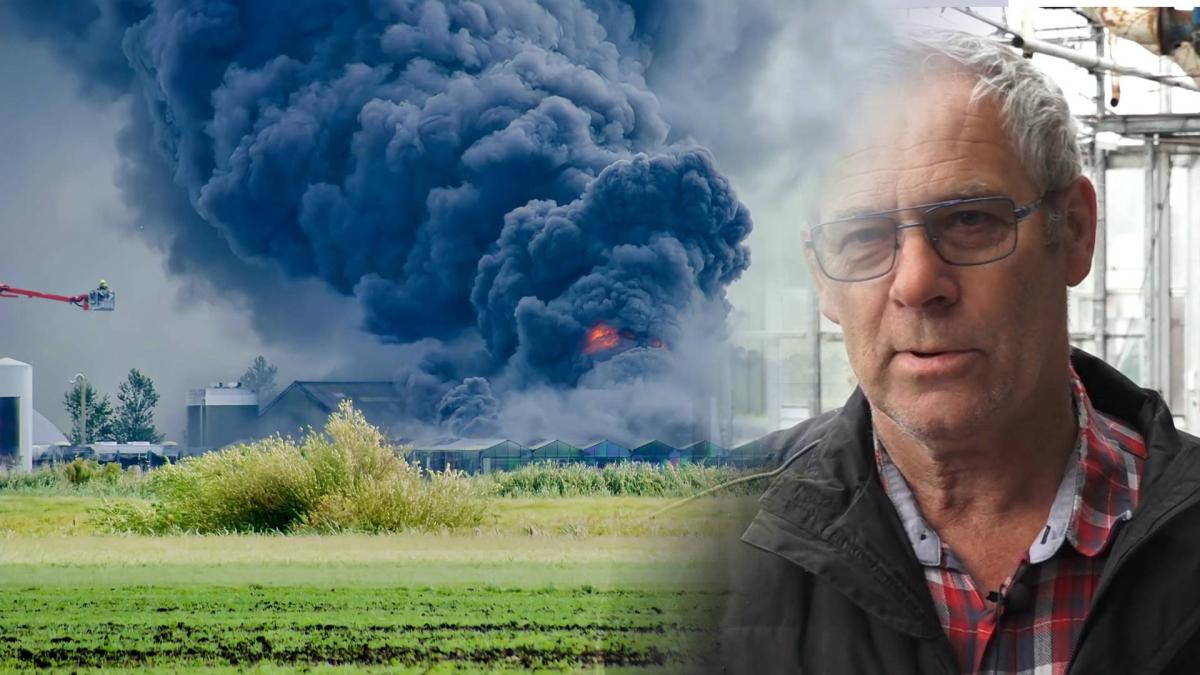 Door een oplettende Wim blijft milieucatastrofe Hensbroek bespaard: 'Dak vol met asbest'