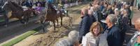 Een paardenrace-evenement in de buitenlucht met toeschouwers die dicht bij de baan staan. Twee drafrennenpaarden met jockeys worden gezien terwijl ze sulky's (lichtgewicht tweewielige karren) trekken terwijl ze aan de race meedoen. Een vrouw op de voorgro