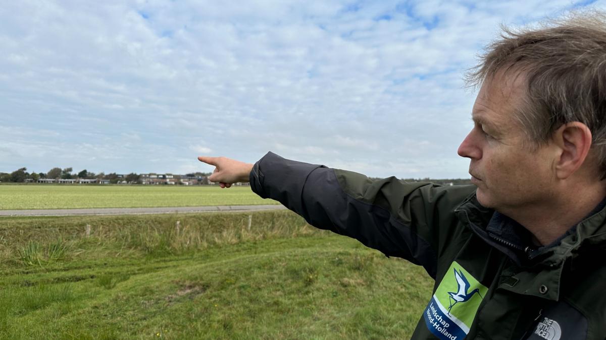 Waarom het maar niet lukt om van een bollenveld natuur te maken