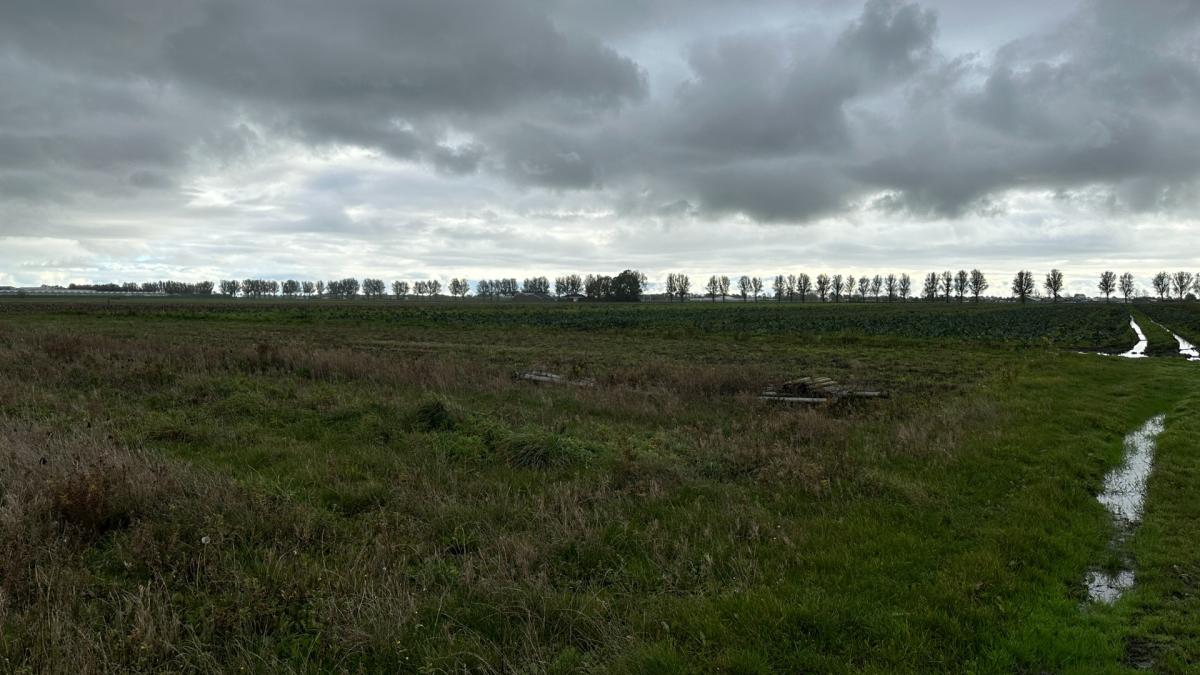 Drechterland maakt azc-locatie bekend, omwonenden staan ervoor open