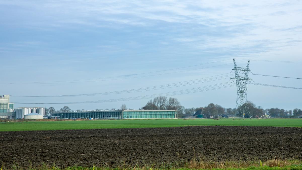 Hoogspanningslijn langs Spierdijk baart inwoners zorgen: "Kan gezondheid in gevaar brengen"