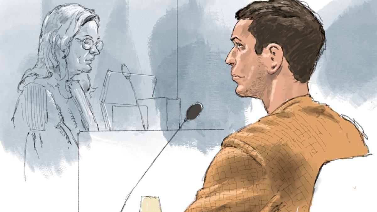 Omvangrijke zedenzaak tegen Enkhuizer (26) van start