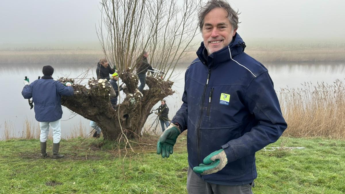 Vrijwilligers gezocht voor knotwilgen snoeien in Heemskerk: een dagje buiten