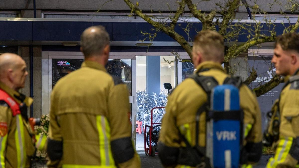 Lichaam gevonden tijdens zoektocht naar vermiste Chinese student