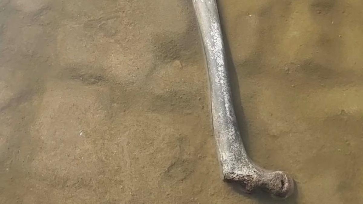 Gevonden bot bij Egmond aan Zee is menselijk, onderzoek loopt door