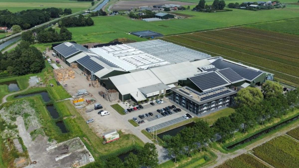 Waarom agenten met maskers en wapens een tulpenkwekerij binnenliepen