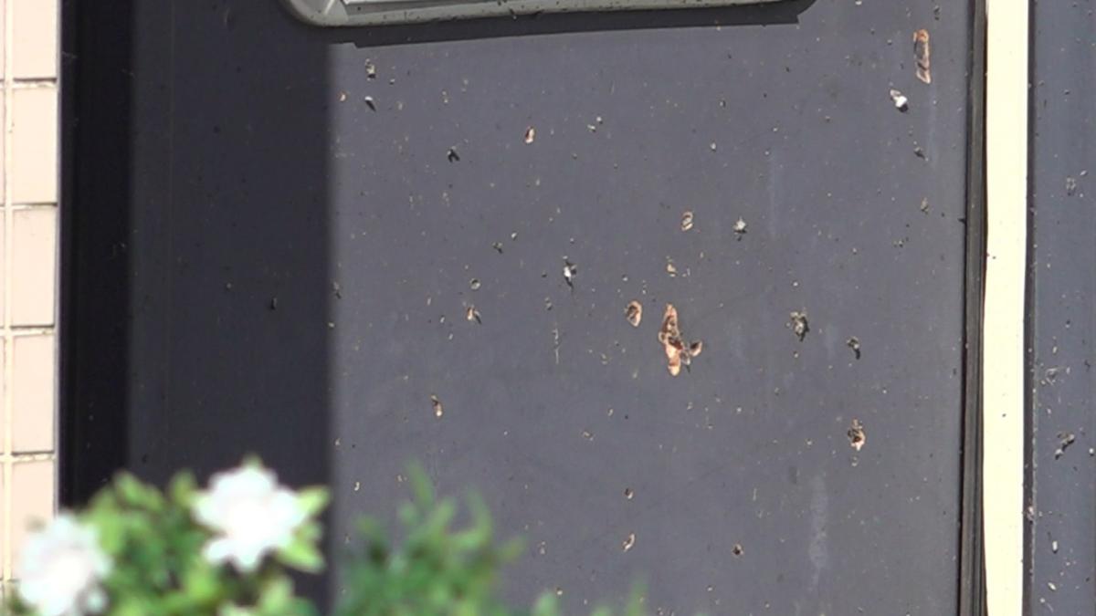 Explosie bij woning Aalbersestraat, langsrijdende agenten houden verdachte aan